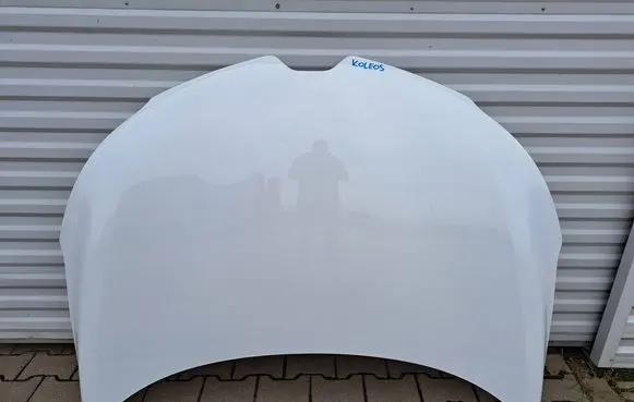 Engine bonnet/hood