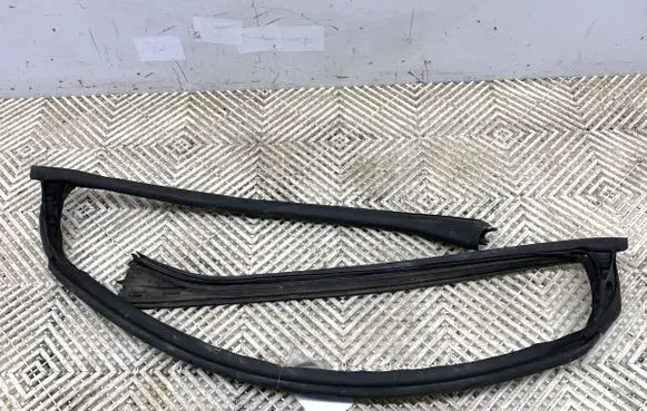 Citroen C3 Pluriel Rubber seal front door (on door) 