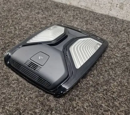 BMW X3 G01 Front seat light 5A43484