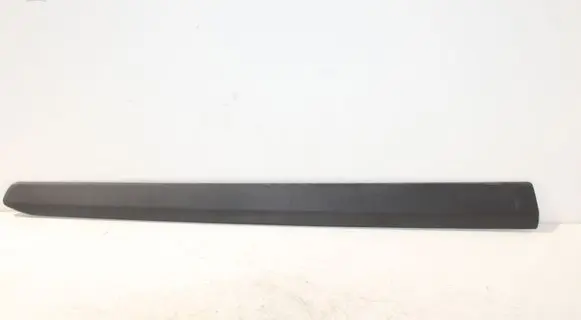 Front door trim (molding)