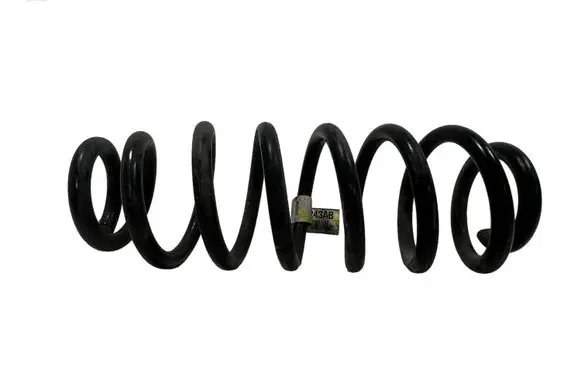 Dodge Journey Rear coil spring 05151243AB 243AB 25591F
