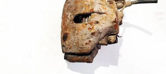 Volkswagen PASSAT B5.5 Front brake caliper 
