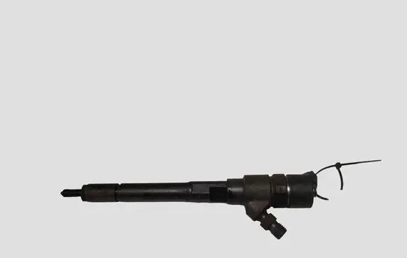 Chevrolet Captiva Fuel injector 0445110270 96440397