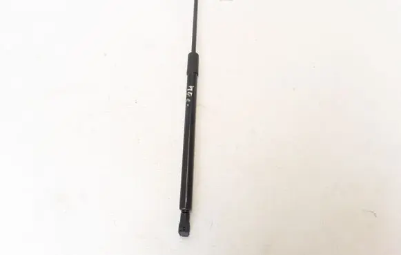 Tailgate strut