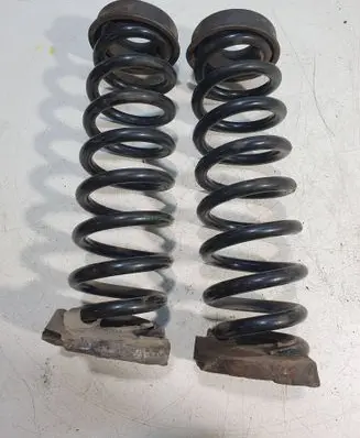 Rear coil spring