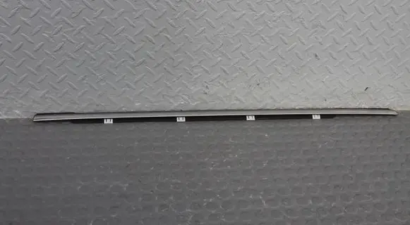 Rear door trim (molding)