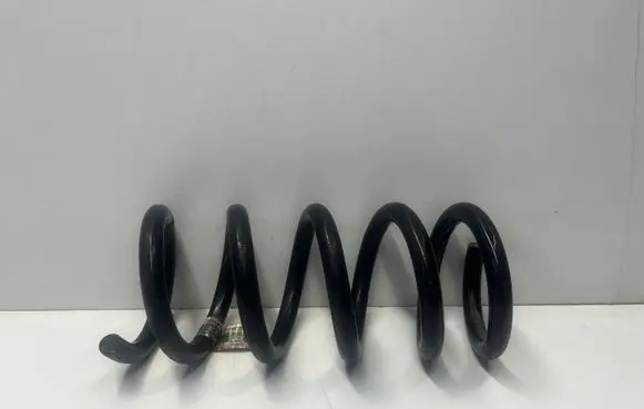 Ford Mustang VI Rear coil spring JR3C5B859UB