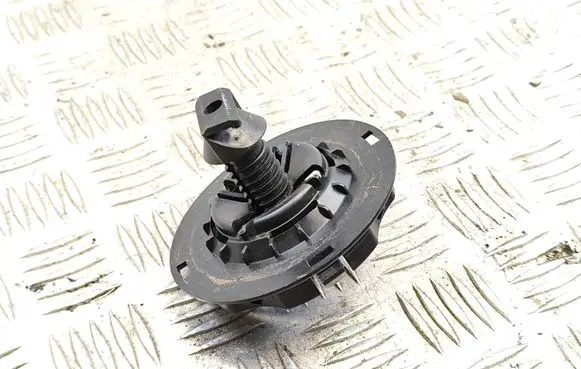 Peugeot 508 II Spare wheel bolt 9816031680