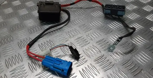 Renault Latitude (L70) Other wiring loom U4650003
