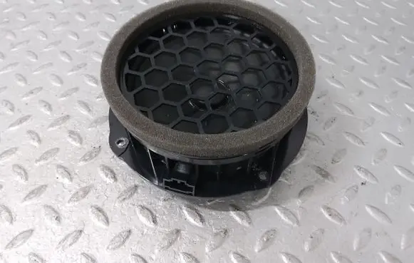 Front door speaker