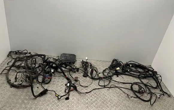 Maserati Quattroporte Other wiring loom 215394 75394 3003030