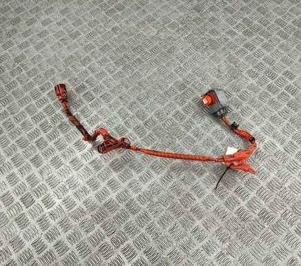 Toyota Prius (XW50) Other wiring loom 821H247010