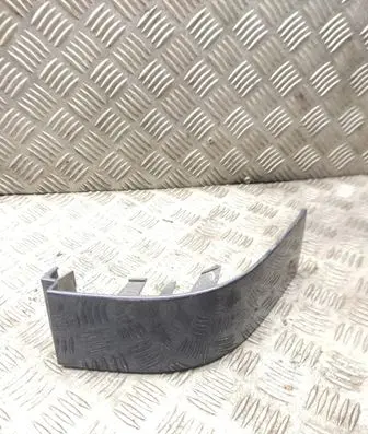 Rear/tail light trim molding