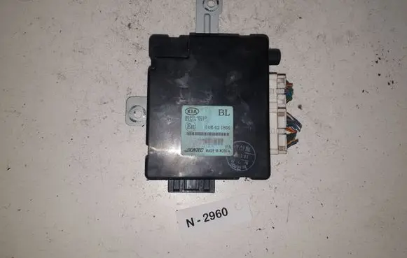 KIA Sorento Other control units/modules 954003E310
