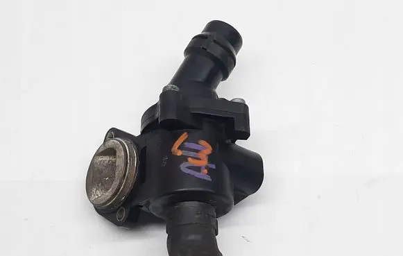 Thermostat/thermostat housing