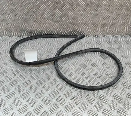 BMW iX Rubber seal front coupe door 7387590