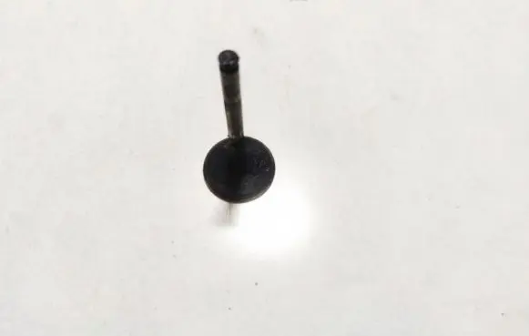 Rover 414 - 416 - 420 Valve 