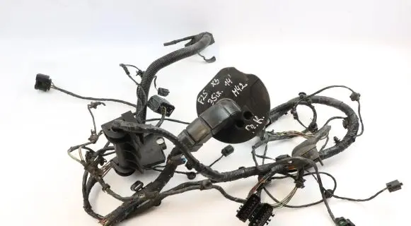 BMW X3 F25 Other wiring loom 9252431