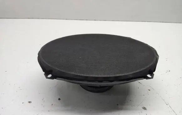 Chrysler Grand Voyager IV Front door speaker 05081669AA