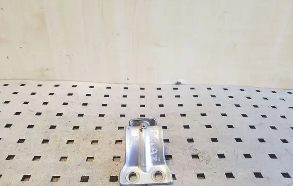 Tailgate/trunk/boot hinge