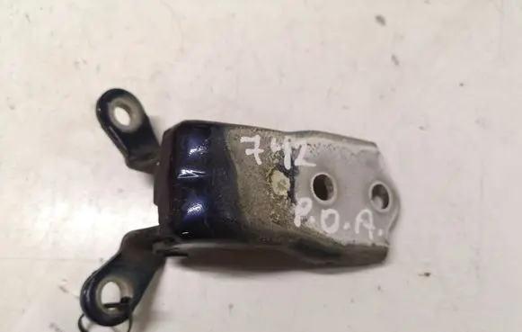 Chevrolet Captiva Front door lower hinge 06H25