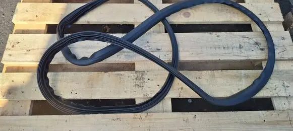 Volvo C30 Front door rubber seal 
