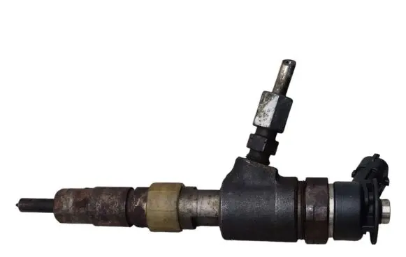 Renault Kangoo II Fuel injector 0445110339