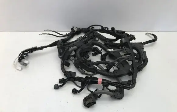 Toyota RAV 4 (XA50) Engine installation wiring loom 8212142N91A