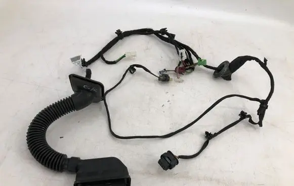 Mercedes-Benz EQE v295 Rear door wiring loom A2955400011