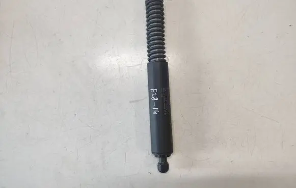 Tailgate/trunk strut/damper