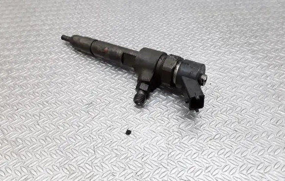 Fiat Punto (188) Fuel injector 0445110019