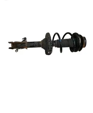 Front shock absorber with coil spring