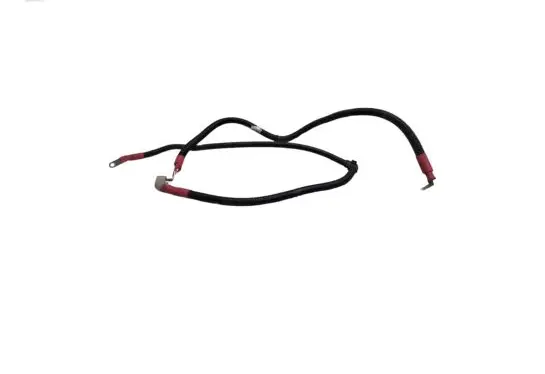 BMW 7 F01 F02 F03 F04 Positive cable (battery) 61252061 8515494