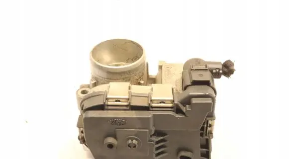 Throttle body valve
