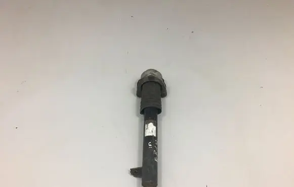 BMW X6 E71 Rear shock absorber/damper 6783018