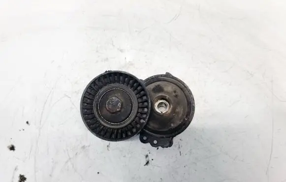 Peugeot 406 Generator/alternator belt tensioner