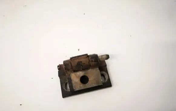 Volvo S60 Rear door lower hinge