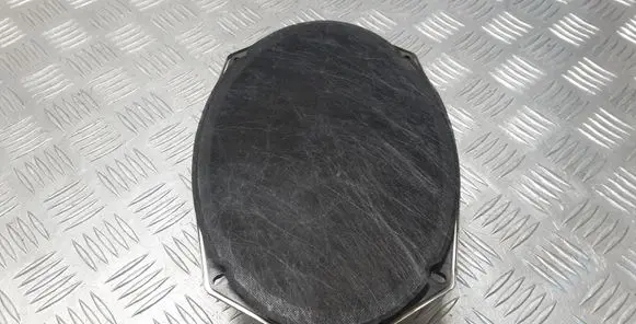Chrysler Grand Voyager V Rear door speaker 05091019AB