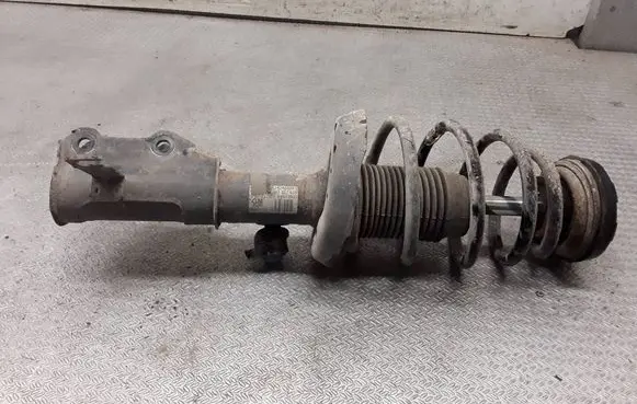 Opel Insignia A Front shock absorber with coil spring