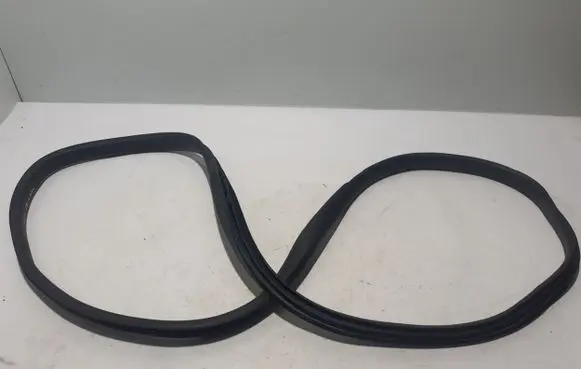 Dacia Sandero III Rear door rubber seal (on body) 769249935R