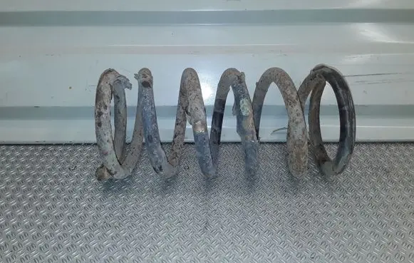 Rear coil spring