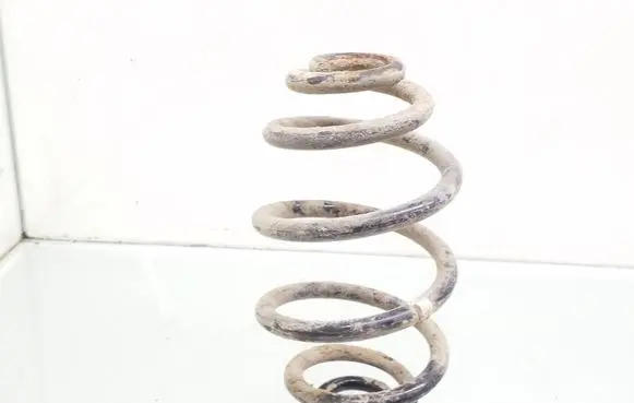 Volkswagen PASSAT B5 Rear coil spring