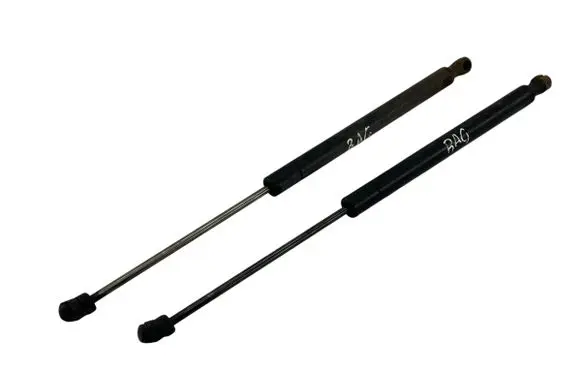 Tailgate/trunk strut/damper