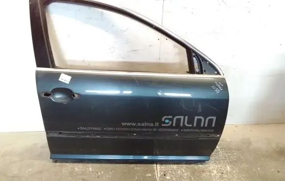 Volkswagen Phaeton Front door