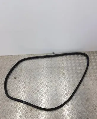 Citroen C3 Front door rubber seal 9813059580