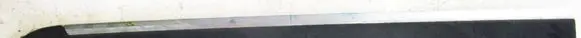 Citroen C3 Rear door trim (molding) 94594u01