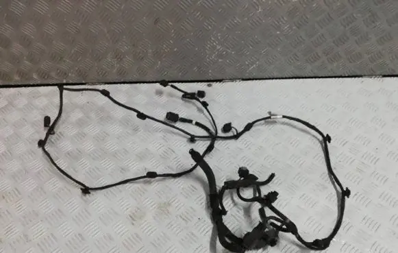 Citroen C4 II Picasso Parking sensor (PDC) wiring loom 9807206980 031420 PDB785