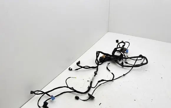Skoda Elroq Front door wiring loom 5LB971120DH TAB019593A