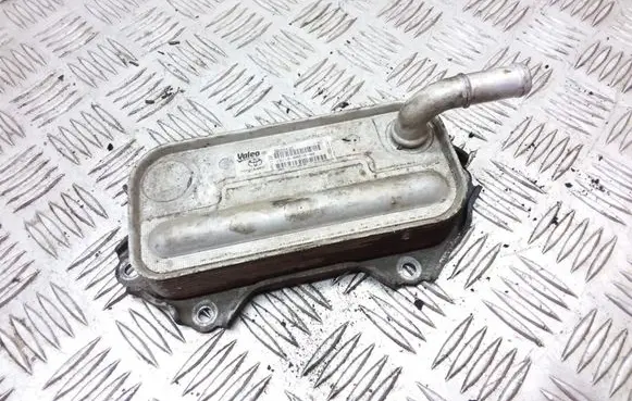 Oil filter mounting bracket