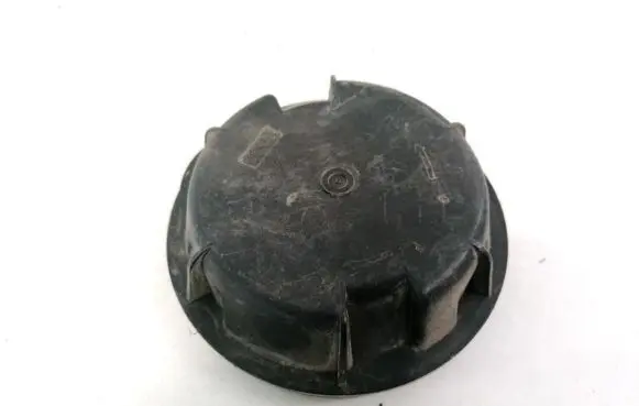 Citroen C8 Headlight/headlamp dust cover 88204985